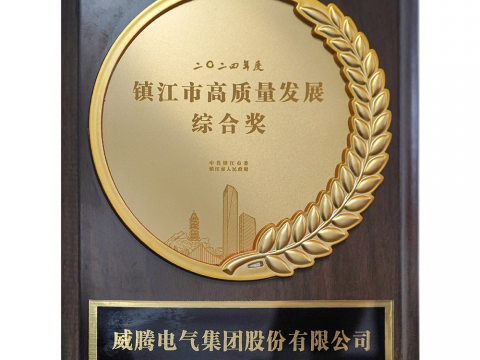 喜讯│平博荣获2024年度镇江市高质量生长综合奖