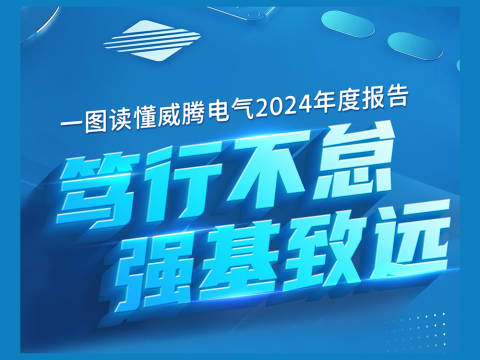 一图读懂平博电气2024年度报告